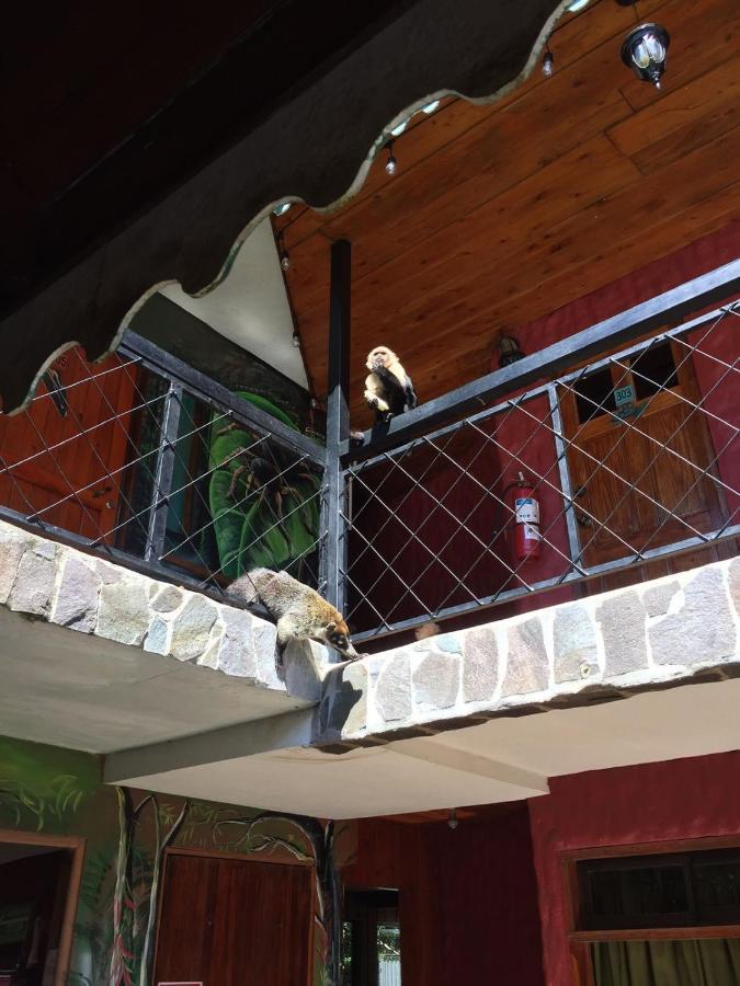 Manakin Lodge, Monteverde Cr Exteriér fotografie